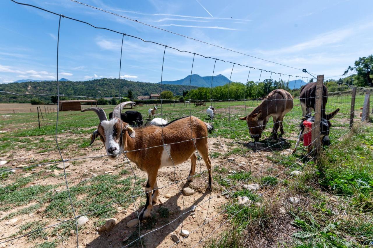 Plaines-provence Digne-les-Bains